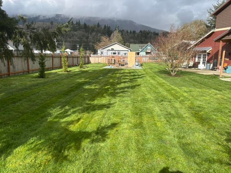 Hedge Trimming