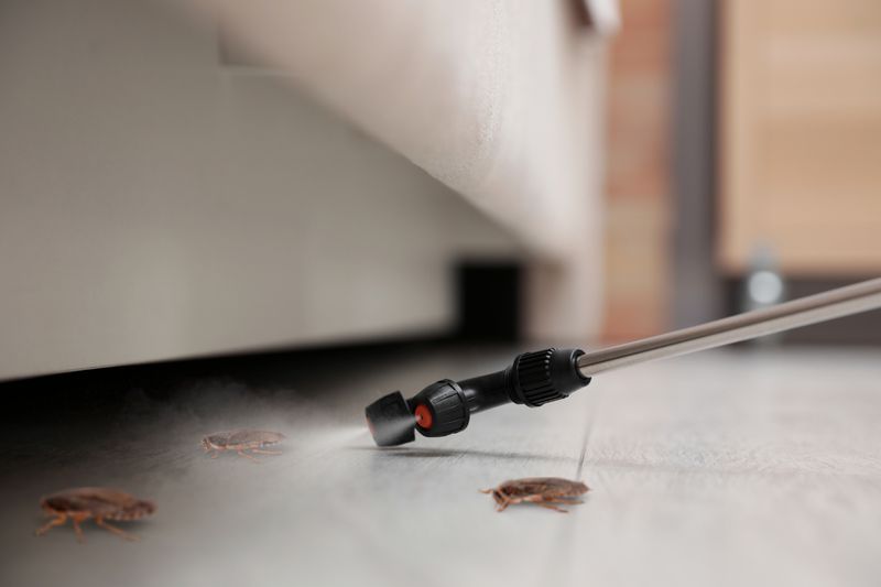 Cockroach Extermination