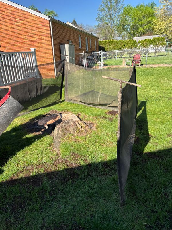 Stump Removal