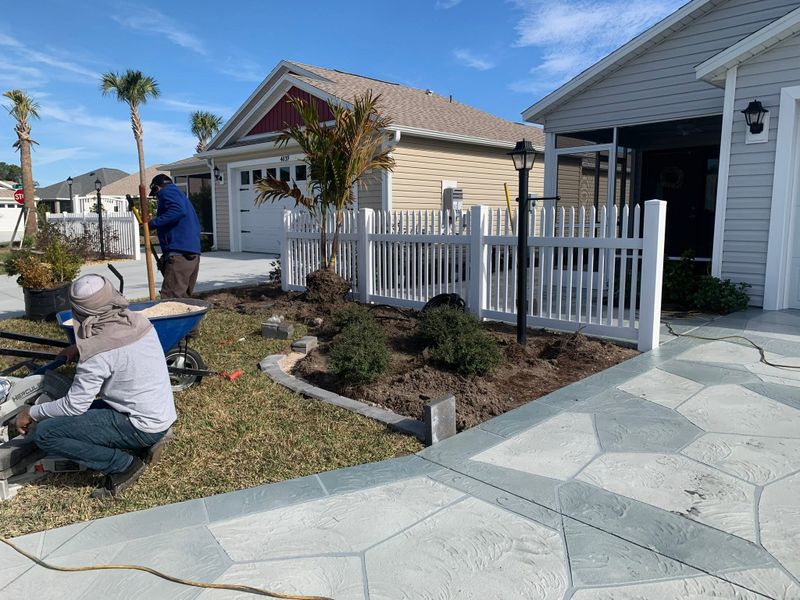 Tree & Shrub Care