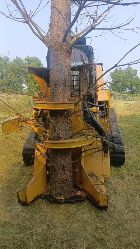 Forestry Mulching