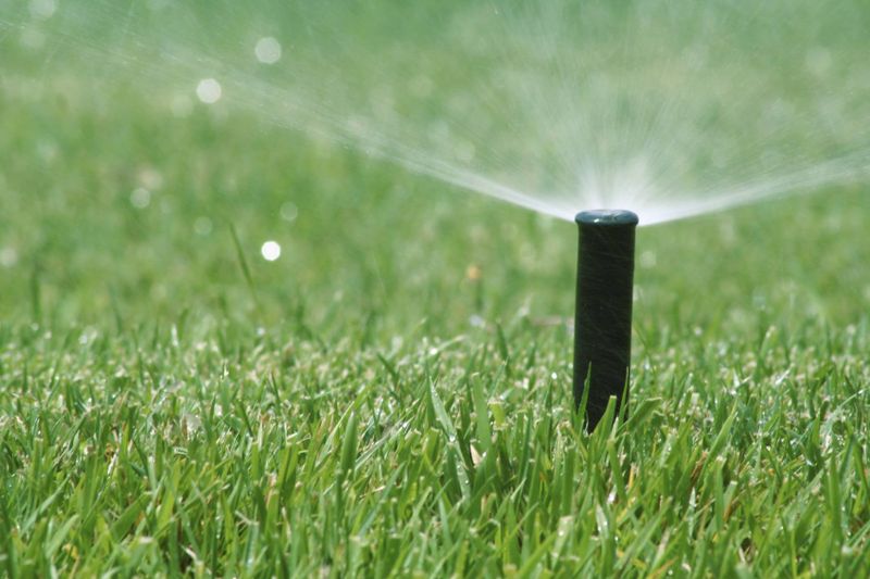 Lawn Maintenance
