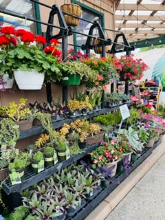 Gardening