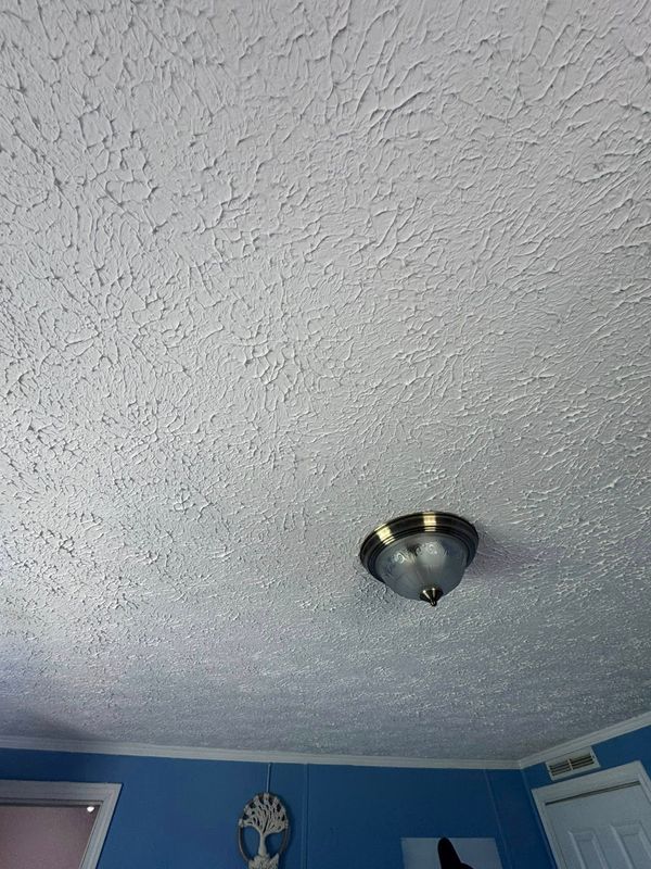 Interior Repairs