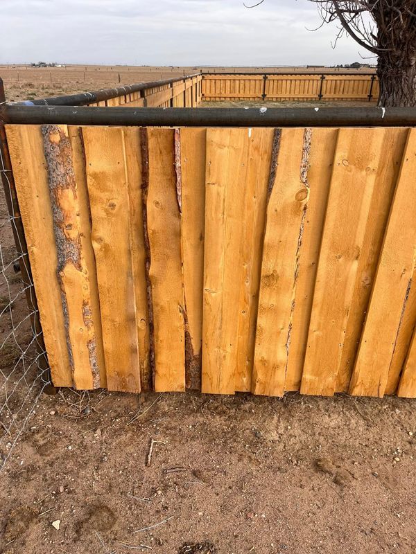 Pine Picket Fences