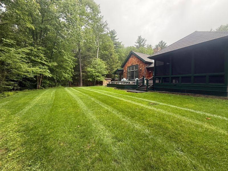 Lawn Maintenance