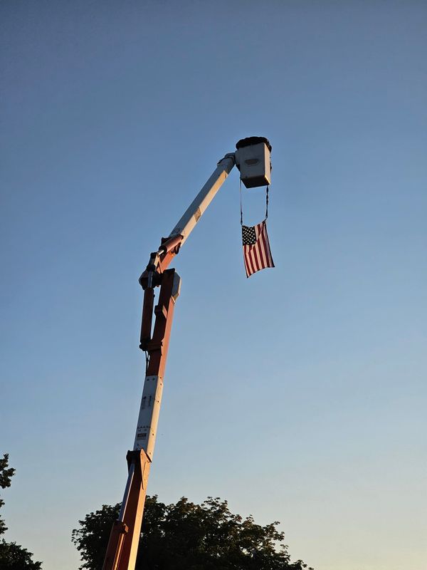 Tree Removal gallery
