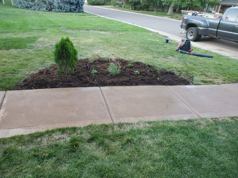 Mulch Installation