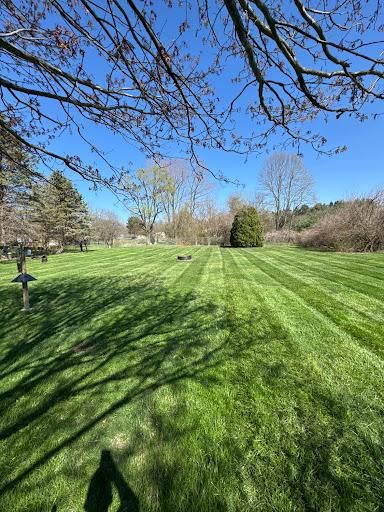 Spring & Fall Clean Ups