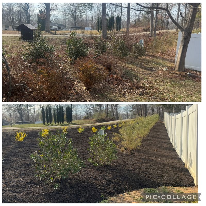 Mulch Installation
