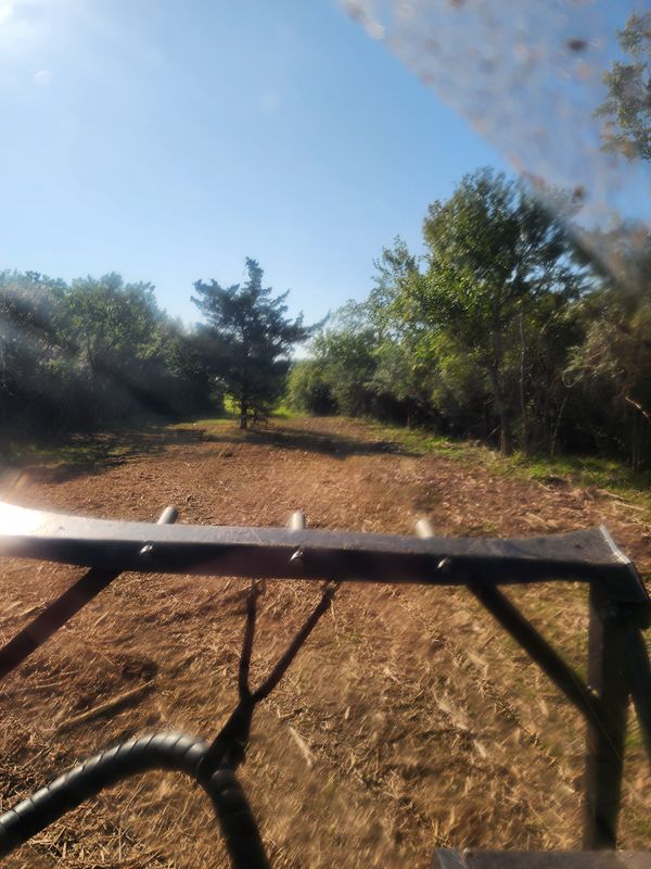 Frisbee Golf Course