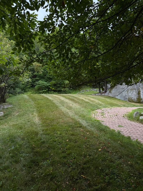 Lawn Maintenance