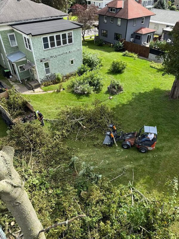 Storm Damage Clean-Up