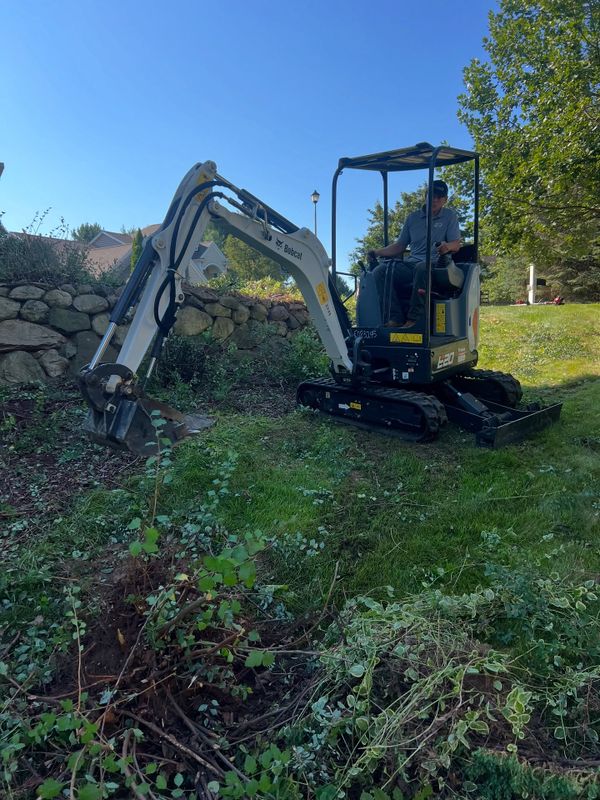 Brush Removal & Land Clearing