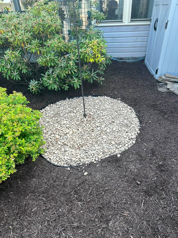 Tree and Shrub Care