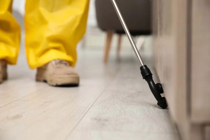 Residential Pest Control