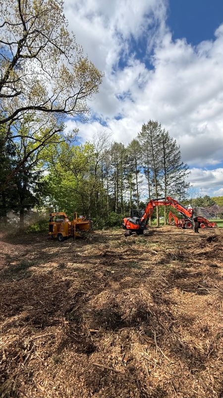 Land Clearing & Mulching