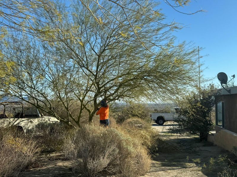 Property Beautification