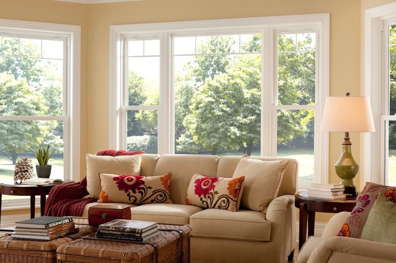 Windows and Doors
