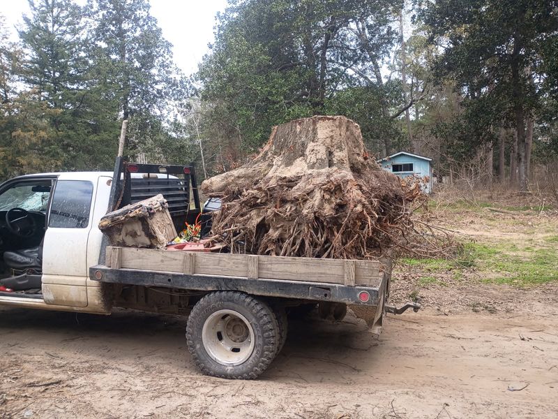 Stump Removal