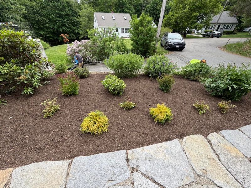 Landscape Design & Installation
