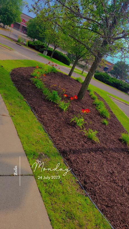 Landscaping