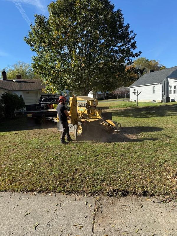Stump Removal