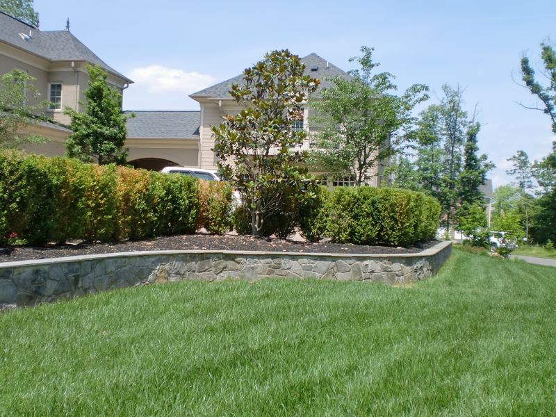 Lawn Care Maintenance