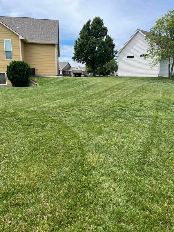 Lawn Maintenance