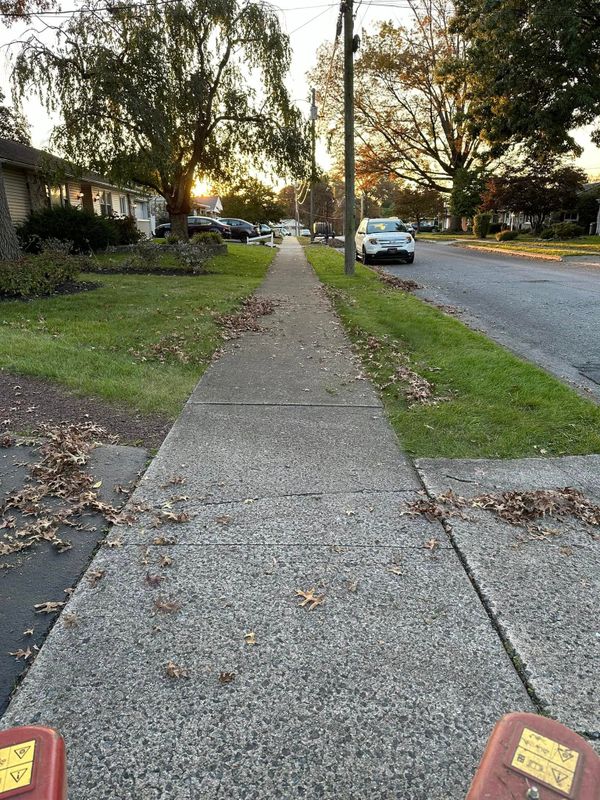 Fall Clean Up