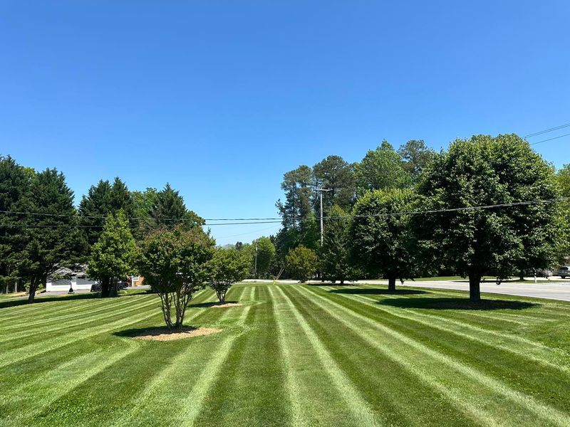 Landscaping 