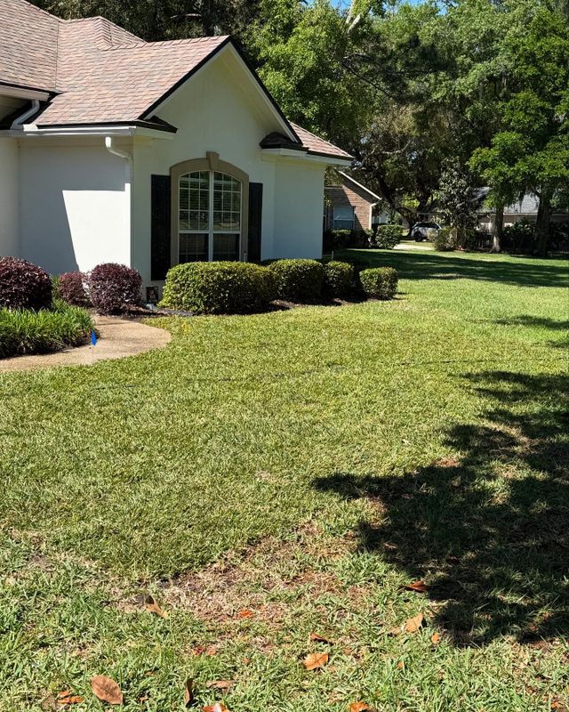 Shrub Trimming