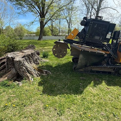 Stump Grinding