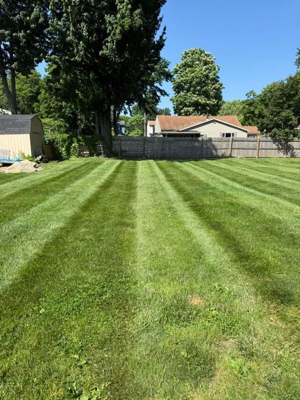 Lawn Maintenance