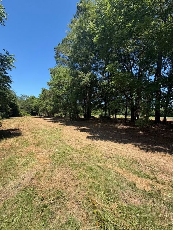 Brush Clearing