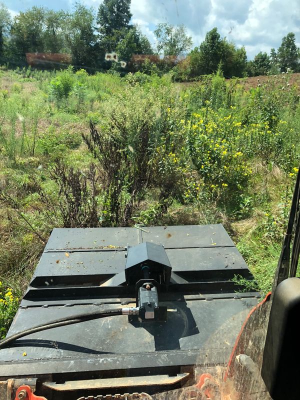 Land Clearing
