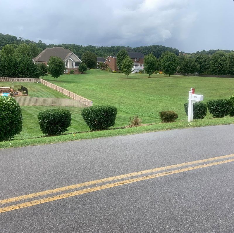 Shrub Trimming