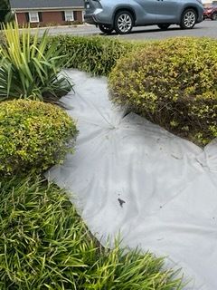 Lawn Care