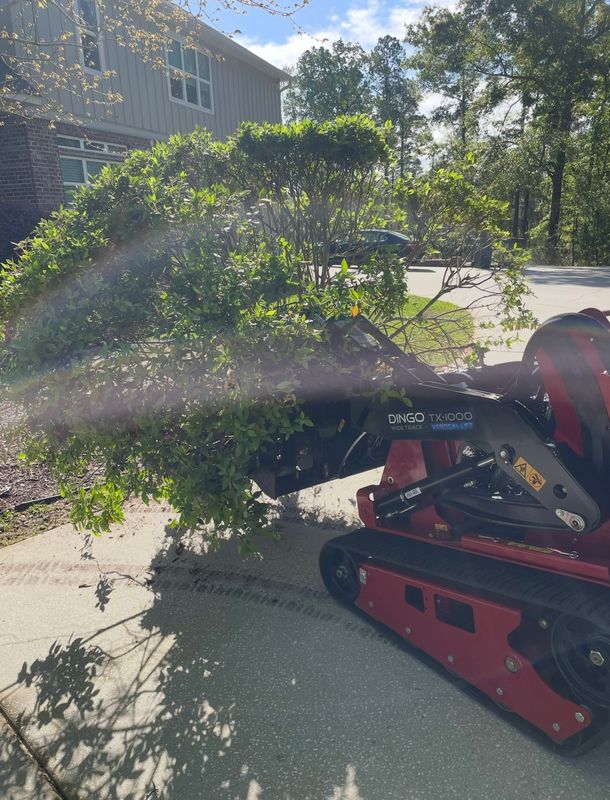 Landscape Maintenance