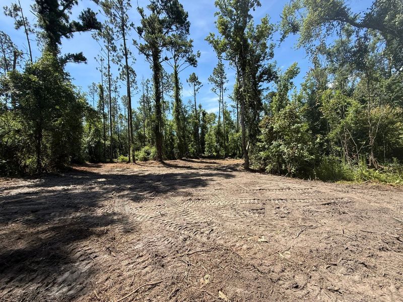 Land Clearing