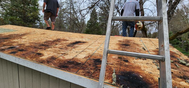 Shingle Roofing