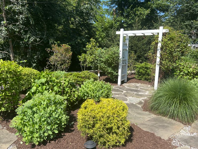 Shrub Trimming