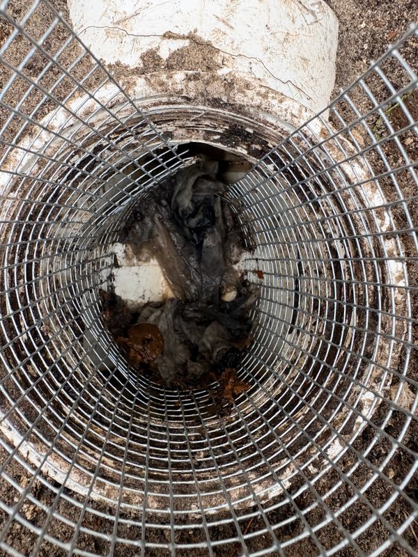 Clogged drains