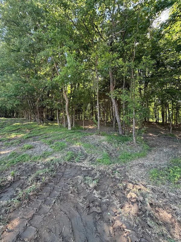 Skid Steer Grading