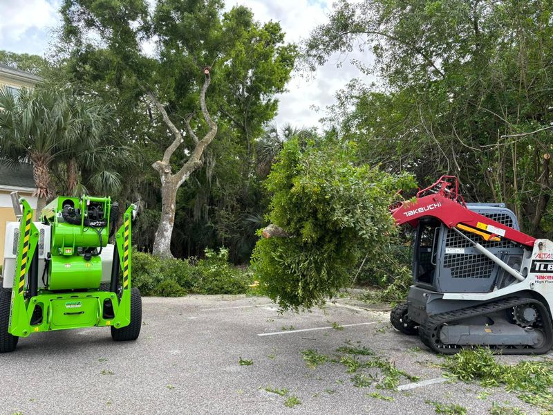 Tree Trimming and Removal
