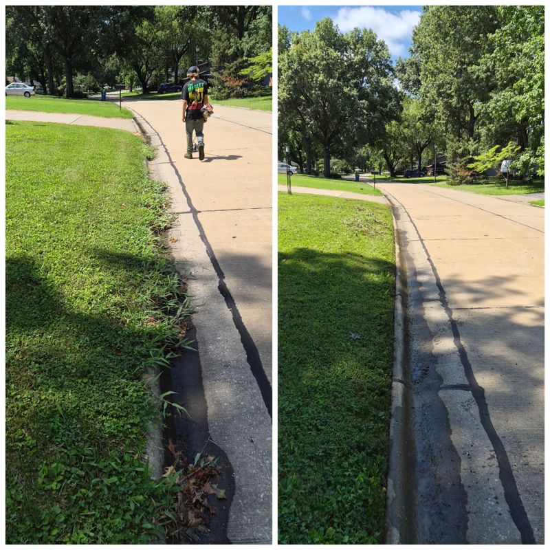 Lawn Maintenance