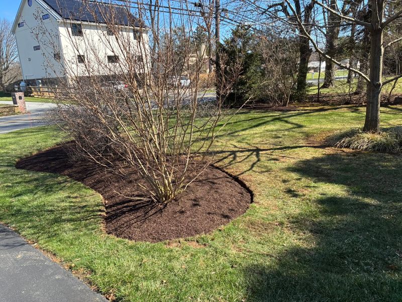 Mulch Installation