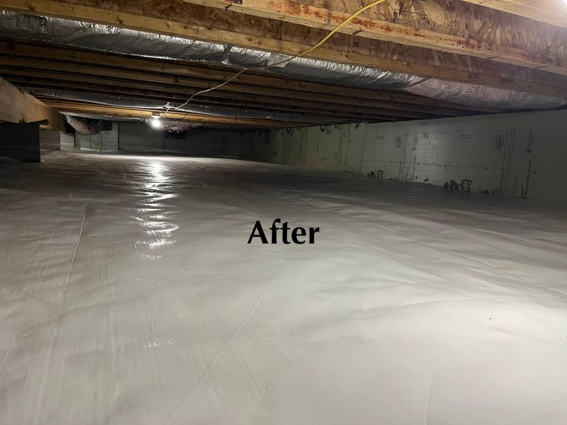 Crawl Space/Attic Renovation