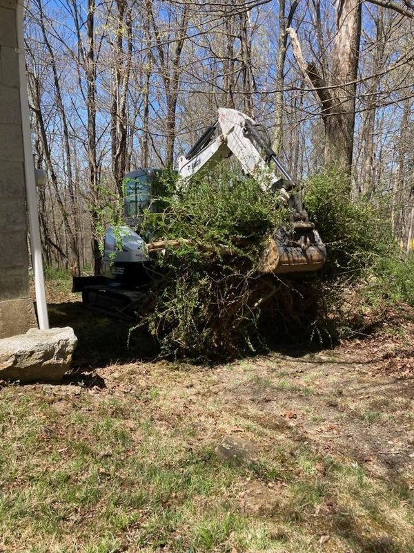 Land Clearing and Site Preparation