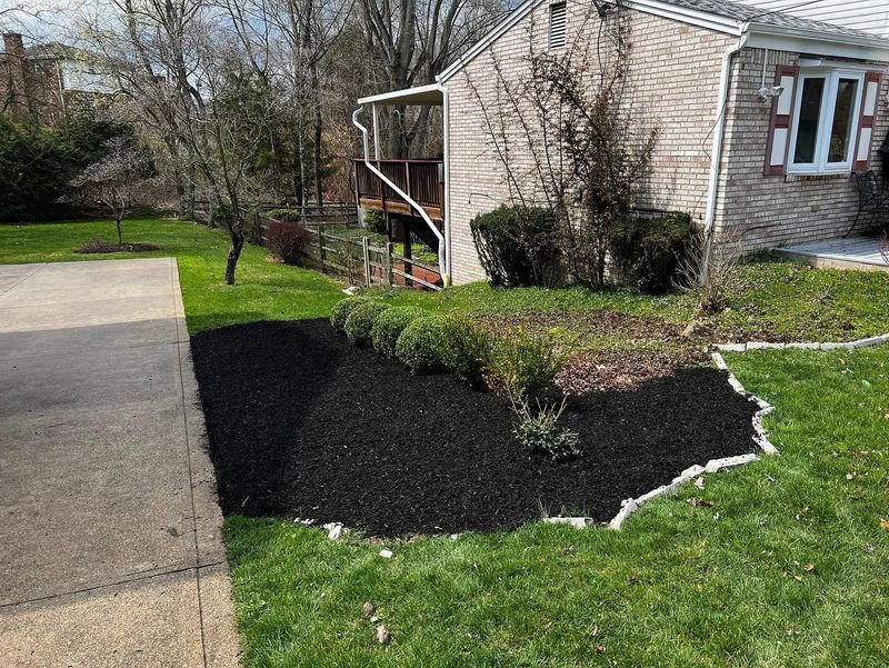 Lawn Maintenance